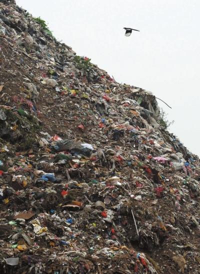 ������ɽ�ӱ������߶ѳ�������ɽ�� 