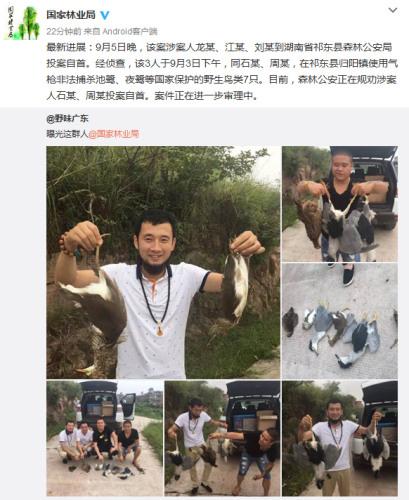 ���������һҳ