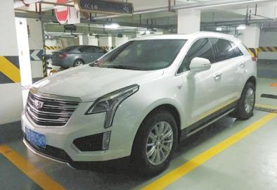 ʯ�������������������ԽҰ��ë�����ϡ�